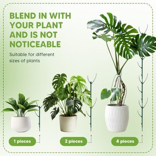 Có thể xếp chồng lên nhau Monstera Hỗ trợ cây trồng bằng nhựa có thể điều chỉnh Cọc cây leo Cây cột giữ cây Trellis cho cây nho trong nhà ngoài trời màu xanh lá cây 10 gói 1 Bộ 5 Gói