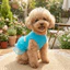 QEARY Puppy Công Chúa Đầm, Thoải Mái Mềm Mại Cho Chó Lưới Lông Tơ Váy, Thời Trang Cổ Tròn Thoáng Khí Mỏng Dây Đeo Thú Cưng Váy Puff Đảng
