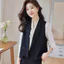 Phụ Nữ Mùa Xuân Chắc Chắn Áo Vest Đen Nữ Thường Ngày Không Tay Áo Blazer Trang Phục