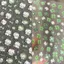 Ooolala Dễ Thương Young Kitty Bốn Lá Cỏ Ba Lá Nổi Bật Bật Nước Cốc ccd Vỏ Điện Thoại diy Trang Trí Móng Tay Miếng Dán