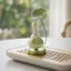 Jingdezhen Gốm Tỏi Vịt Biến Đồ Trang Trí Vịt Dễ Thương Xoay 360 Hoạt Hình Gửi Đồng Nghiệp Bạn Gái Giải Nén Quà Tặng 26.3.22