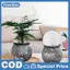 Mini Tự Tưới Hoa Nồi Cá Bể Nhựa Trong Suốt Chậu Cây Tự Tưới Cây Chậu Bình Để Trang Trí Nhà Cửa