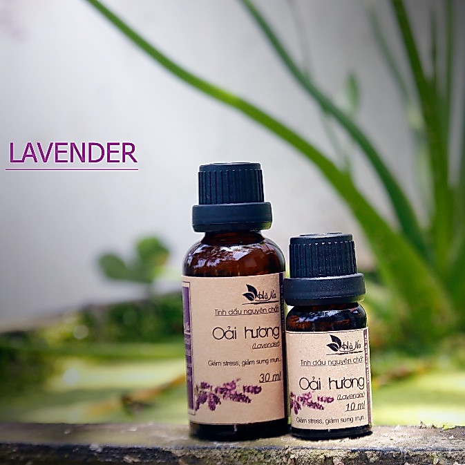Tinh dầu oải hương Lavender 10ml – Hỗ trợ giấc ngủ, giảm căng thẳng, tạo không gian thư thái