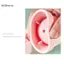 GCDHome 1 / 2 / 4 Máy Làm Đá Silicon Hình Quả Bóng Lớn Khuôn Thực Phẩm Khay Tròn Thanh Tiện Ích Mát mẻ Phụ Kiện Nhà Bếp Làm Khuôn HOT