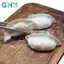 GHX Mô Phỏng Bánh Bao Nén Đồ Chơi Móc Khóa Túi Mặt Dây Chuyền Dễ Thương Antistress Giảm Căng Thẳng Chậm Phục Hồi Đồ Chơi VN