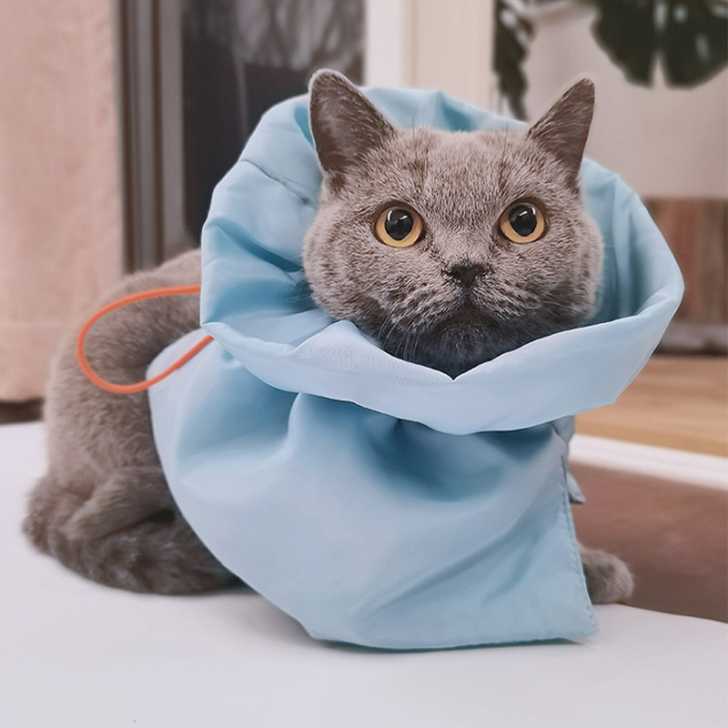 HamshMoc Cổ áo Cat E có thể điều chỉnh Thiết kế chia tay Phòng chống liếm Lớp ấm áp để phục hồi
