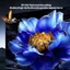 Btsg HDTV 2 1 Dây Nam Sang Nam HDTV Dây 8K 60Hz 2K 240Hz Cáp HDTV Sang HDTV Cho Máy Chơi Game Máy Chiếu HDTV Monito
