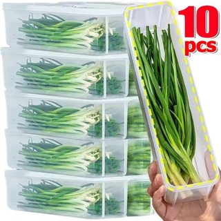3 / 5 / 10 Cái Hộp Bảo Quản Sò Hình Chữ Nhật / Thực Phẩm Trong Suốt Hộp Giữ Tươi Có Nắp