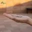 Springevenstar Màu Bạc Pupular Phong Cách Hàn Quốc Ngôi Sao Lắc Tay Cho Nữ Thời Trang Đơn Giản Mở Tay Trang Sức Tiệc Springevenstar