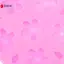 Khuôn Silicon Hình 3D DIY Hoa Anh Đào Fondant Thạch Sô Cô La Bánh Dụng Cụ Trang Trí Đất Sét Thạch Cao Khuôn Nướng Bánh VN