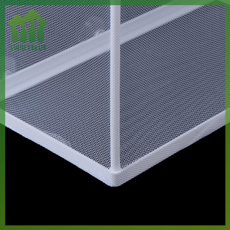 Hộp nuôi cá - Máy ấp trứng cá & cách ly cho bể cá
