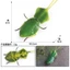 Mô phỏng xuyên biên giới cho trẻ em Mô hình côn trùng hoang dã Stifler Leaf Back Mantis Leaf Mantis Tricky Toy Đồ trang trí nhận thức Chiều cao 2cm