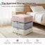 BeautifulHomeA 1 Chiếc Paing Cubepressing Hành Lý Sắp Xếp Lưu Trữ Túi Vali Dành Cho Học Sinh Du Học VN