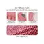 Bộ đồ mặc nhà nữ CARDINA chất liệu thô kẻ sát nách đùi cổ tròn gấu bèo tầng 6BON01