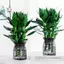 Maybest Mini Tự Tưới Hoa Bể Cá Nhựa Trong Suốt Chậu Cây Tự Tưới Cây Bình Hoa Để Trang Trí Nhà Cửa {VN}