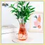 Bình hoa nhựa trong suốt B & N để trang trí nội thất Giá đỡ hoa để bàn thanh lịch cho phòng khách Trang trí máy tính để bàn văn phòng.