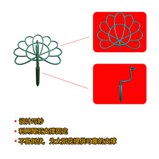 Con Công Hoa Hướng Dương Đứng Trong Nhà Hoa Hình Hoa Hướng Dương Một Lớp Chân Đế Hoa Cố Định Khung Hỗ Trợ Hoa Khung Vườn