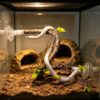Cốc hút Mô phỏng Vine Cá rô Bò sát Terrarium Trang trí Chi nhánh cho tắc kè Rắn thằn lằn Rùa