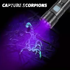 Đèn pin UV CATIYAHA, Đèn pin mini có thể sạc lại USB-C, Đèn pin cực tím cầm tay cầm tay chống nước cao cấp cho vết bẩn thú cưng