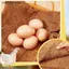 {BUDDI} 5 / 10 Chiếc Tấm Lót Tổ Sợi Dừa Thảm Tổ Hộp Chien Coop Chi Chim Thỏ Thảm Ấm Miếng Lót Gia Cầm Bò Sát Tiếp Liệu {buddingenergy}