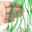 2 chiếc Top 40Inch Nylon Hays Ăn Chậm Có Cạnh Gia Cố Để Vận Chuyển