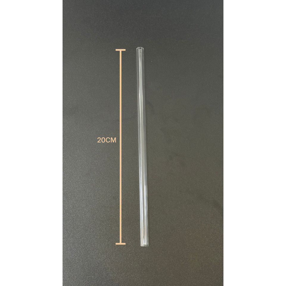 Ống hút thủy tinh cho ly SIMPLE 735ml có đầu silicone