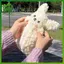 SWEET Puppy Pencil Pouch Dễ Thương Mềm Mại Sang Trọng Trường Văn Phòng Phẩm Dung Tích Lớn Túi Đựng Bút Chì Sinh Viên Văn Phòng Phẩm n