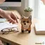 Giá đỡ kính mắt động vật CHEESELY, Giá đỡ kính bằng gỗ hình động vật, Giá đỡ kính dễ thương sáng tạo Văn phòng tại nhà