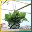 Khay nhiều cấp bằng da PU BVY Home Garden dùng để trưng bày chậu hoa ngoài trời trong nhà và chậu hoa.