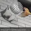 Gutter Downspout Guard Chống tắc Lưới Bảo vệ Thép không gỉ Downspout Lọc cho mái ngoài trời Ban công Vườn Phòng chống động vật jiwvn