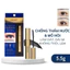 Mascara Nongchat Brownit Chuốt Mi Thái Lan