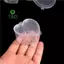 10 Cái / lốc Nhựa Màu Trong Suốt Hộp Đựng Keo Putty Bọt Bóng Hộp Bảo Quản Slime Bảo Quản [Mới]