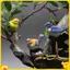 4 Cái / bộ Chim Tượng Nhỏ Đồ Trang Trí Phong Cảnh Micro Tổ Chim Trứng Chim Làm Vườn Mini Cây Cảnh Mô Phỏng Mô Hình Nhà Búp Bê Trang Trí