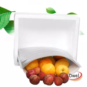 DWEL 50 Chiếc Túi Cách Nhiệt Thực Phẩm Di Động Giữ Nhiệt Uống Đá