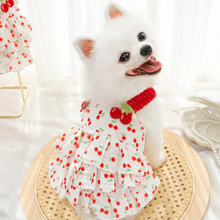 Váy cho chó mèo làm từ 100% cotton, trang phục váy bánh kem nhiều lớp cho chó, đồ dùng cho mèo, bán buôn cho chó nhỏ