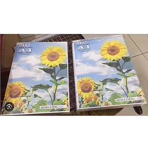Giấy bìa cứng màu trắng A4 định lượng 250gsm