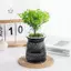 Maybest Mini Tự Tưới Hoa Bể Cá Nhựa Trong Suốt Chậu Cây Tự Tưới Cây Bình Hoa Để Trang Trí Nhà Cửa {VN}