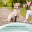 QEARY Paw Protectors, Giày cho chó chống rơi chống bụi bẩn, Đế cứng thoáng khí thoải mái Chống trượt Không kẹp Boot thú cưng ngoài trời