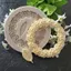 1 Khuôn Silicon Lá Rosette Khuôn Silicon Bánh Tự Làm Khuôn Socola Đường Khuôn Nướng Bánh [VN]