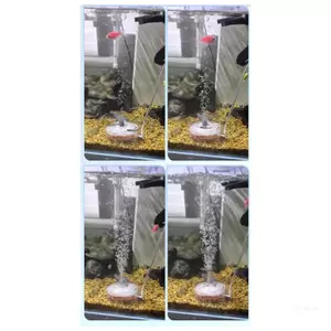 Hộp lọc bể cá hàng đầu Bộ lọc điện đảm bảo chất lượng nước tốt hơn cho môi trường sống cá khỏe mạnh