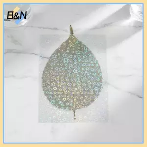 Phim cán màng ba chiều B & N A4 Bộ 5 miếng trong suốt chống thấm nước tự dính để ghi nhật ký và trang trí.