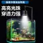 🔥Đèn Gắn Bể Cá Mini Bể Nam Mỹ đèn rọi bể cá Bể Cá Nước Cỏ Đèn LED Full Spectrum COB Chống Thấm Nước Trung Bình Lớn Cỏ Chuyên Dụng Chiếu Sáng Đèn Burst Tảo Ba Màu 16W Downlight