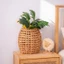 Giỏ đựng đồ treo tường Giỏ đựng đồ treo tiết kiệm không gian có vòng tay cầm Boho Handmade cho nhà bếp, lối vào