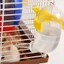 Bình Nước Hút Chân Không Cho Chuột Hamster 60ml