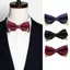 PNPIA- Thắt Nơ Nam Đầu Kim Loại Chắc Chắn Cao Quý Cổ Điển Polyester Bướm Nơ Cravat Nơ Nữ Nam Newear Dự Tiệc Tiếp Liệu