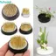 FUHUIOT Hoa Ếch Floristry Spiky Kim Kenzan Chèn Đế Pin