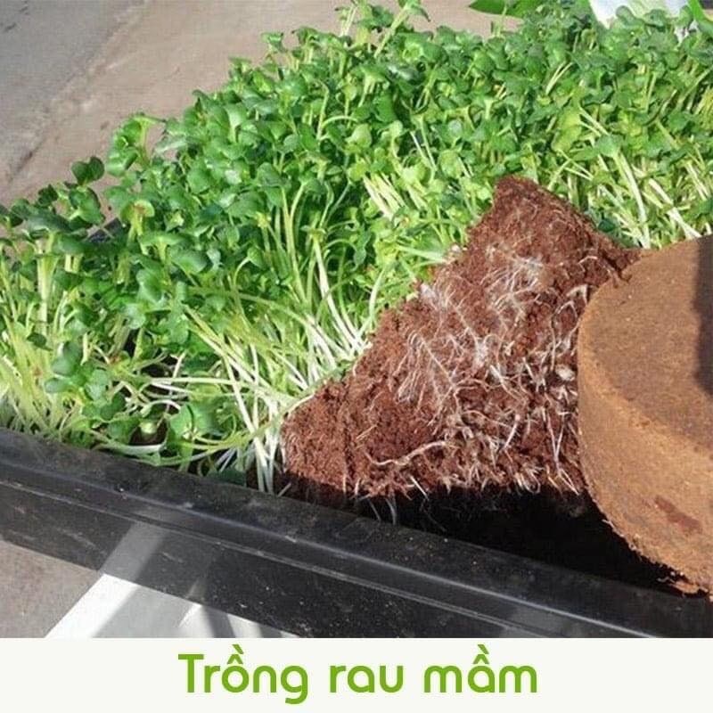 Mùn dừa đã xử lý ép bánh 600gram, đất hữu cơ trồng cây, mùn dừa trồng rau mầm, mùn dừa ươm hạt giống