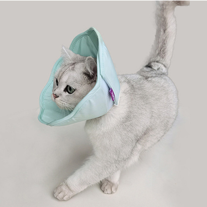 HamshMoc Cổ áo Pet E nhẹ chống nước hai mặt EVA lót để chăm sóc phục hồi