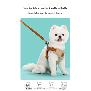 Loại dây đeo cho chó nhỏ cỡ vừa