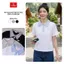 Áo polo nữ CARDINA chất cotton tay cộc phối cổ viền ren 6APC03